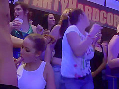 Ravishing hotties like to engulf knobs