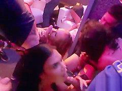 Sultry lookers give head and have a fun banging and sex fuckfest