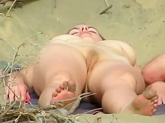 Sandfly Longing For Beachlife - Season 2017