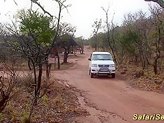 hawt sex at my african safari tour