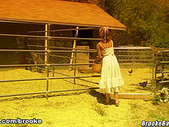 The Novelist - FantasyGirlBrooke