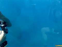 Sabine Mallory Acquires Drilled In The Sea