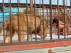 Hottest non-professional Outdoor porn movie scene