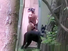 Peeing at Cabin During The Time That Dog see