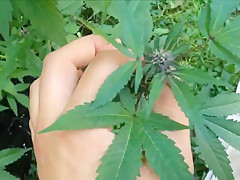 CUTE GOLDEN-HAIRED POV ORAL-SEX IN THE GARDEN