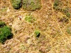 Exposed chap loves boning angels on the sunny weekend