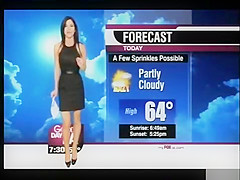 Pretty presenter on the LA television