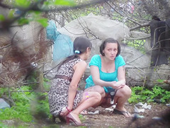 Beauties filmed peeing in the town park by sexually excited voyeur