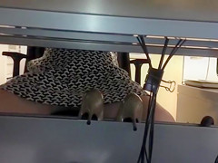 My co-worker's pretty couple of legs