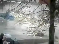 Female Ally Watches Pair Making Sex