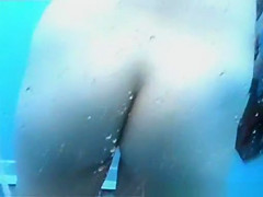 Greatest Beach, Spy Webcam, Non-Professional Scene Ever Seen