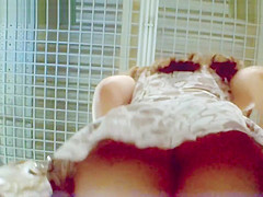 Hawt Upskirt By Chestnut Head At The Money Desk